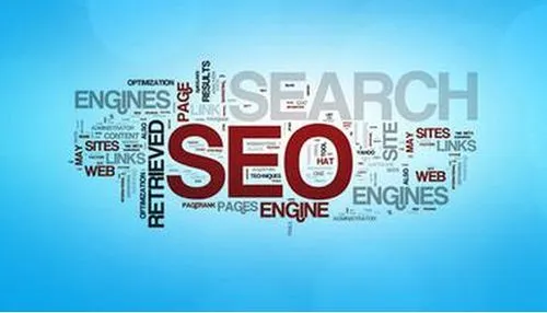 新手需要学习哪些 SEO 优化技巧?